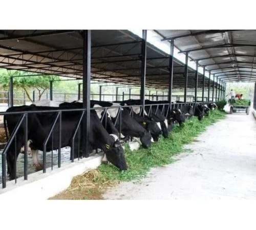 Dairy Farm Stainless Steel Sheds Service manufacturer in Pune